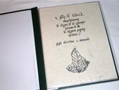 Handwritten Elvish Book