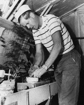 Dan Duryea Gardening in His Greenhouse