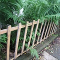 Fence (2)